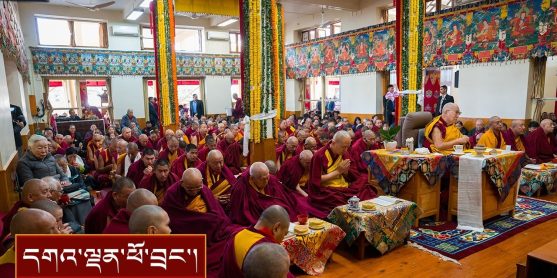 རྒྱལ་གཅེས་དཔའ་བོ་དཔའ་མོ་རྣམས་ཀྱི་ཆེད་དུ་འཚོགས་པའི་མཆོད་འབུལ་སྨོན་ལམ་གྱི་ཚོགས་མགོན་དུ་ཆིབས་སྒྱུར།