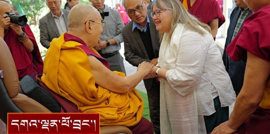 བལ་ཡུལ་སོགས་ཡུལ་ལུང་འདྲ་མིན་གྱི་དད་ལྡན་མཇལ་བཅར་བ་ ༣༠༠ ལྷག་ལ་མཇལ་ཁ་སྩལ་བ།