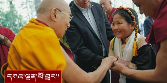 དྷ་ས་མདོ་སྟོད་ཆོལ་ཁའི་བརྟན་བཞུགས་གོ་སྒྲིག་ཚོགས་ཆུང་གི་ཚོགས་མི་སོགས་ལ་མཇལ་ཁ།