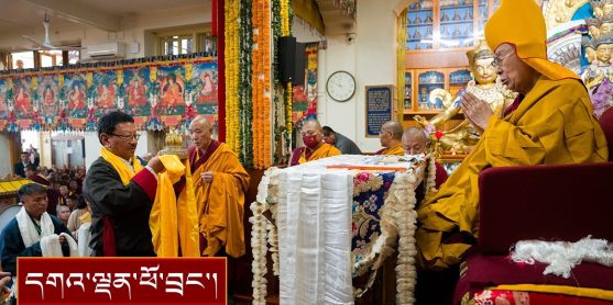 དྷ་ས་མདོ་སྟོད་ཆོལ་ཁ་དང་། གློ་སྒྲིག་འཛུགས་གཉིས་ཀྱི་བརྟན་བཞུགས།