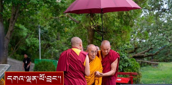 ཨ་རིའི་ཊེམ་པལ་ཊན་ཐེབས་རྩའི་སྐུ་ཚབ་སོགས་ ༣༧༠ སྐོར་ལ་མཇལ་ཁ།