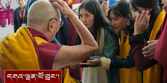 ལ་དྭགས་ཤེས་རིག་ལས་ཁུངས་ཀྱི་ལས་བྱེད་དང་། ལྕོག་ལམ་གསར་གྱི་བརྒྱ་ཤོག་གསུམ་པའི་གཞིས་མི་སོགས་ལ་མཇལ་ཁ།