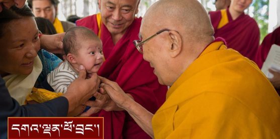 ཧི་མཱ་ལ་ཡའི་ནཱ་ལནྡཱའི་ནང་པའི་སྲོལ་རྒྱུན་ལྷན་ཚོགས་ཀྱི་ཚོགས་མི་དང་། ལ་དྭགས་ཀྱི་སྐོར་སྲུང་སོགས་ལ་མཇལ་ཁ།