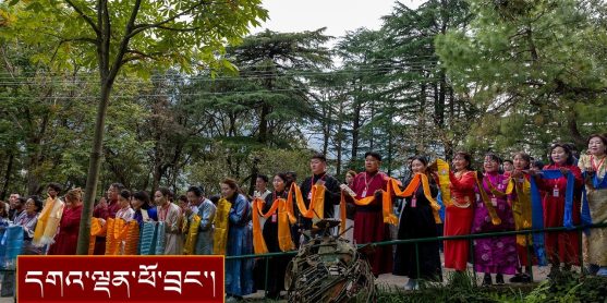 སོག་པོ་དང་། གློག་བརྙན་བཟོ་སྐྲུན་པ་སོགས་མཇལ་བཅར་བ་ ༣༤༠ ལྷག་ལ་མཇལ་ཁ།
