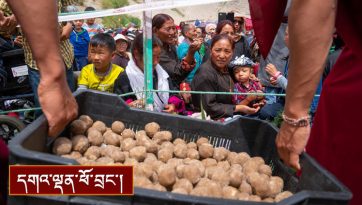 སྒྲོལ་དཀར་ཚེ་དབང་།